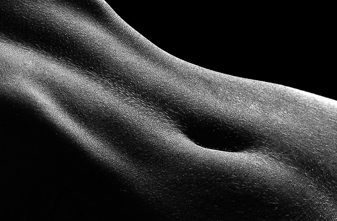 Aktfoto Details Körperlanschaften Bauch 