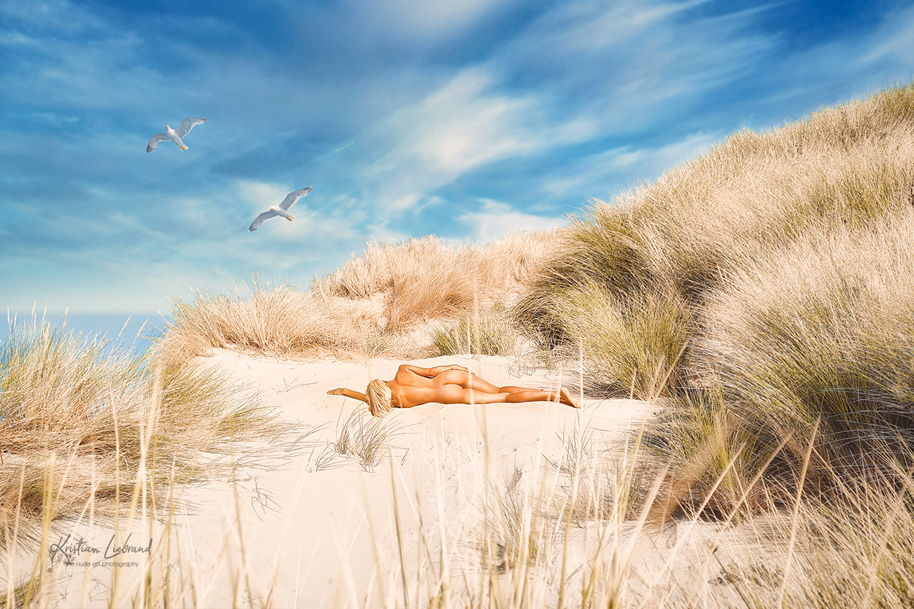 Aktfotografie in der Natur - in den Dünen Insel Beach Strand Ostsee Nordsee Möwen Model
