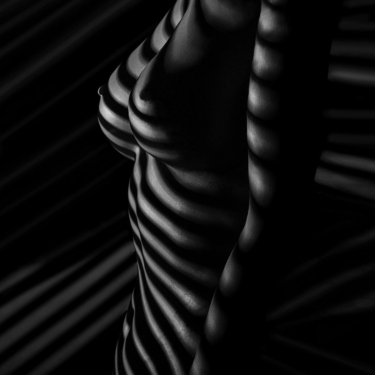 Licht und Schatten Aktfotografie in schwarzweiss Streifenlicht Zebra-Effekt