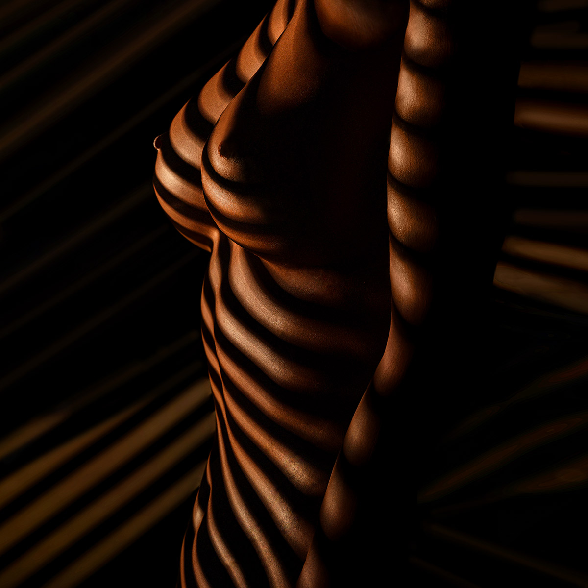 Aktfotos mit Streifenlicht Zebraeffekt
