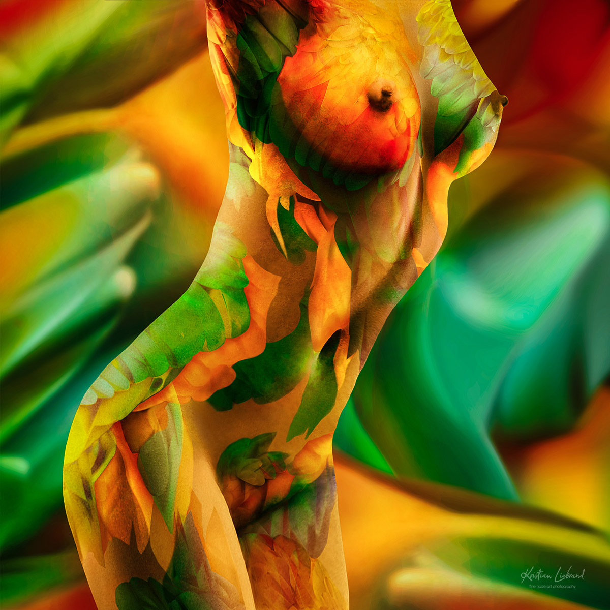 Künstlerische Aktfotografie mit bunten Farben Bodypainting Kunstwerke