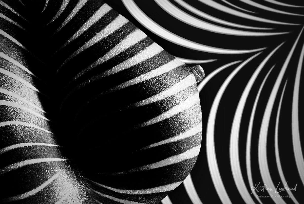 künstlerische Aktfotografie mit Streifen schwarzweiß