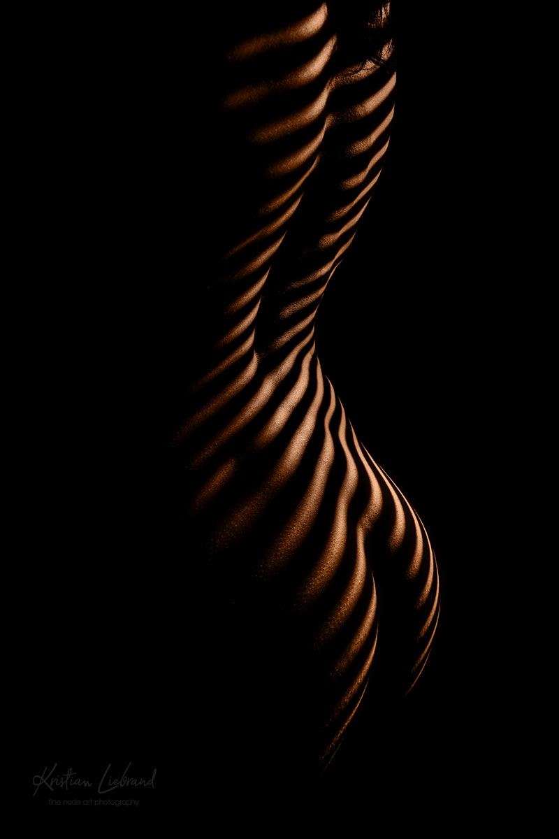 Kunstdruck Wandbild erotische Fotokunst Frauenkörper Po Rücken mit Zebra-Effekt Look - Art Print kaufen